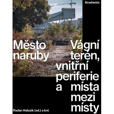 Město naruby - Radan Haluzík