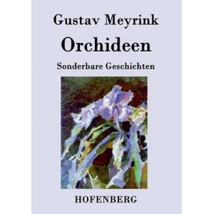 Orchideen | Gustav Meyrink (ISBN: 9783843073561)