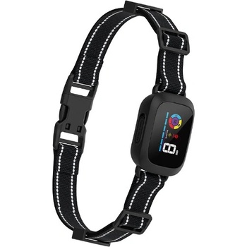 Patpet B800