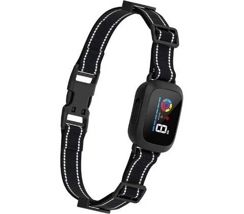Patpet B800