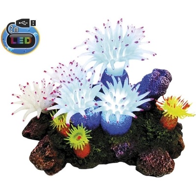 Nobby Aplysina s rastlinami LED 16,5x12x11 cm