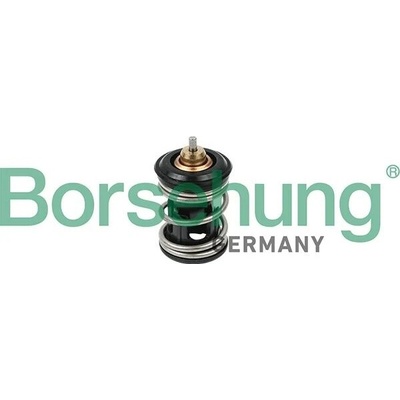 Termostat, chladivo BORSEHUNG B18261