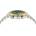Versace VE8G00524