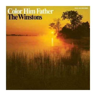 The Winstons - Color Him Father CD