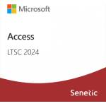 Microsoft Access LTSC 2024 (DG7GMGF0PN5J-0002)