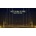 Audiofier Veevum Sync - Gold Edition