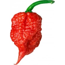 Need For Seed Chilli Carolina Reaper Red semena 10 ks