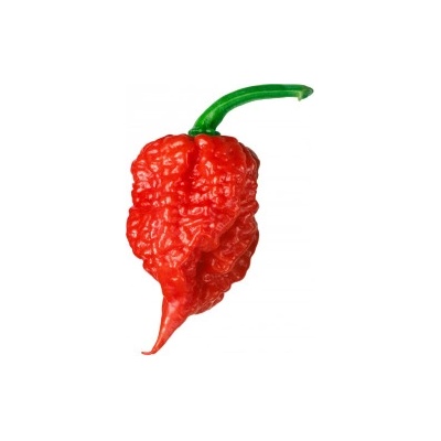 Need For Seed Chilli Carolina Reaper Red semena 10 ks