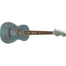 Fender Dhani Harrison
