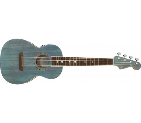 Fender Dhani Harrison