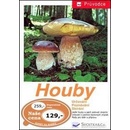 Houby