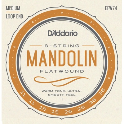 D'Addario EFW74
