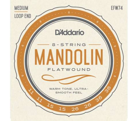 D'Addario EFW74