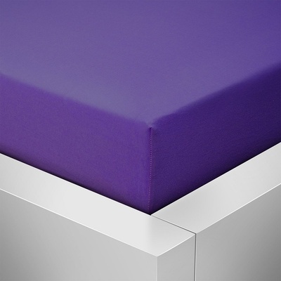 Homeville jersey prostěradlo ELASTIC švestka 100x220