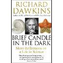 Brief Candle in the Dark