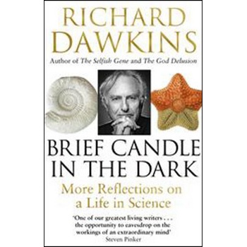 Brief Candle in the Dark