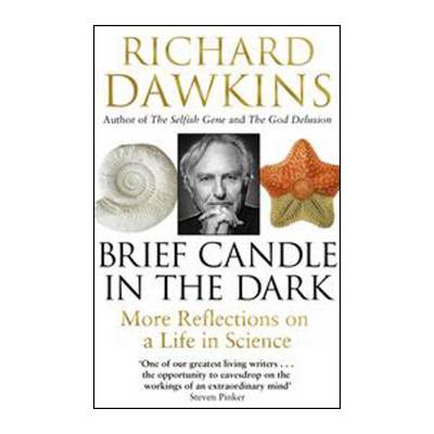 Brief Candle in the Dark
