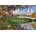 Trefl - Puzzle Davison: Central Park, New York - 1 000 piese
