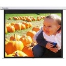 Optoma 100" 4:3 DS-3100PMG+