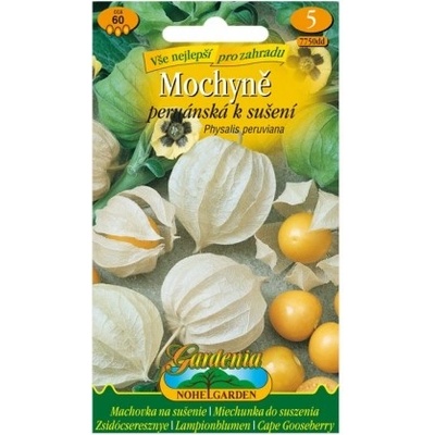 Mochyně permánská k sušení Physalis peruviana