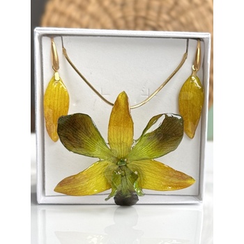 Meganflo Есенна красота - орхидея Дендробиум - 3DeLux