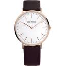Bering 13738-564