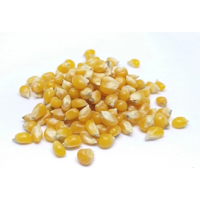 Les fruits du paradis Kukuřice na popcorn 3 kg
