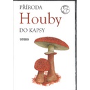Houby