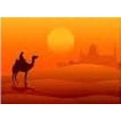 Египет 50/40 см