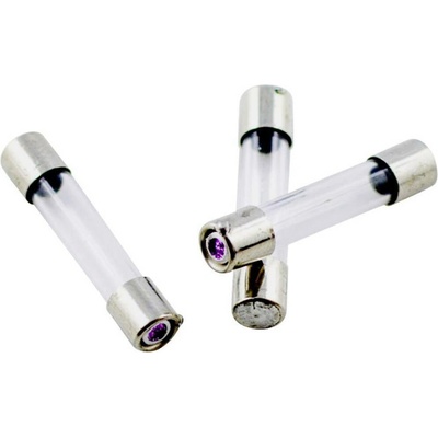 ESKA 528.020 528020 trubičková pojistka (Ø x d) 5 mm x 25 mm 2 A 250 V středně pomalá -mT- Množství 10 ks