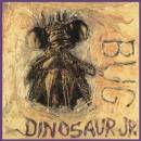 DINOSAUR JR. - BUG CD