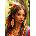 Enjoy - Puzzle The Native - 1 000 piese