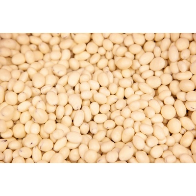 Les Fruits du Paradis Maliny lyofilizované v jogurtu 4000 g – Zbozi.Blesk.cz