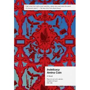 Indelicacy | Amina Cain (ISBN: 9781250785718)