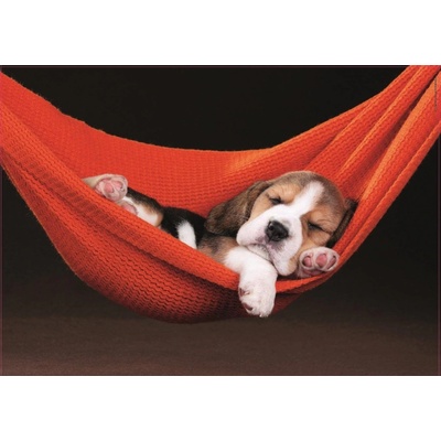 Educa Sleeping in a hammock 500 dielov
