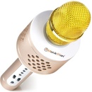 Technaxx BT X35 PRO Bluetooth karaoke mikrofon zlato stříbrná 4611