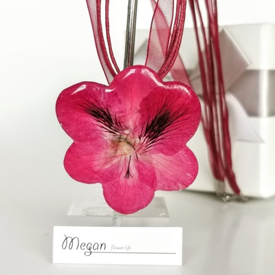 Meganflo Малка цикламена налба