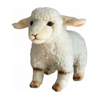 Dubi Sheep 23cm 31051