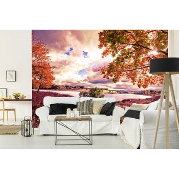 DIMEX ART s. r. o Самозалепваща се флизелинова фототапета есенна кленова гора 375 x 250 см