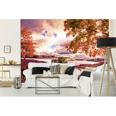 DIMEX ART Самозалепваща се флизелинова фототапета есенна кленова гора 375 x 250 см