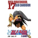 Bleach 17