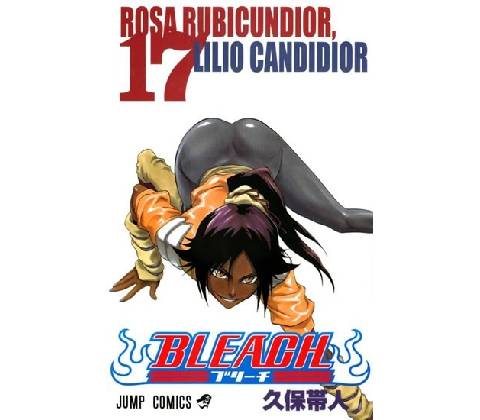 Bleach 17