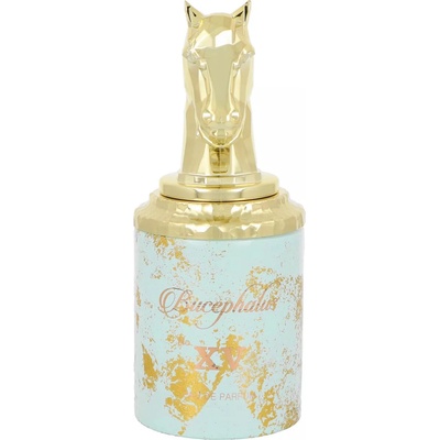 Armaf Bucephalus XV parfumovaná voda unisex 100 ml