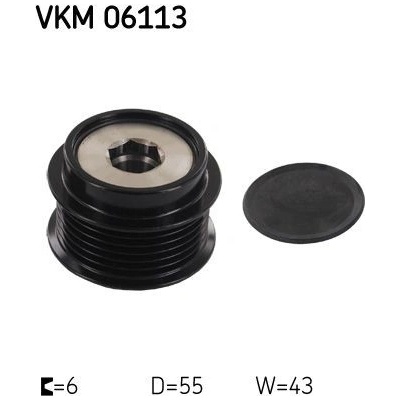 SKF-VKM 06113