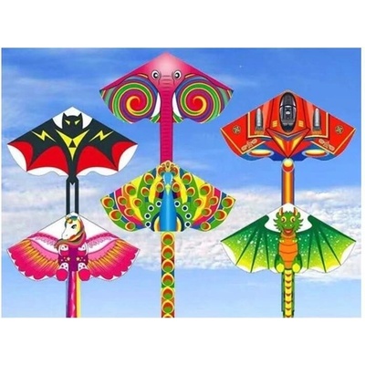 IMPAP Létající drak 115 x 60 cm polyester 17452 – Zboží Mobilmania