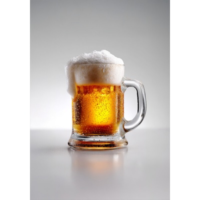 Takoy Panel na ušitie deky Wellsoft fleece 140x200 orosené pivo