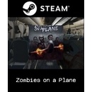 Hry na PC Zombies on a Plane