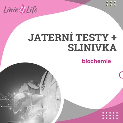 LINIE4LIFE Komplexní jaterní testy a slinivka – krevní rozbor