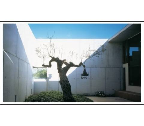 New Patio Design
