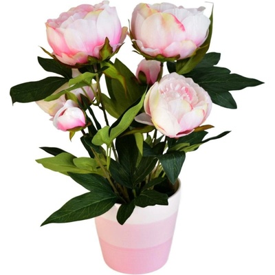 Pivoňka světle růžová v keramickém květináči Ø30/38 cm